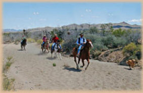 Galloping in the desert washes